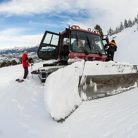 Les Alisiers * Montclar (Alpes-de-Haute-Provence)